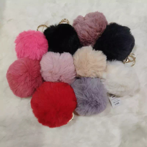 جاکلیدی و جاسوئیچی پولیشی توپی