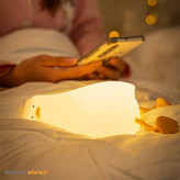 خرید چراغ خواب سیلیکونی اردک خسته