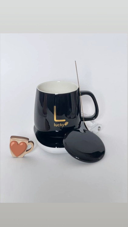 خرید ماگ هیتردار برقی وارداتی