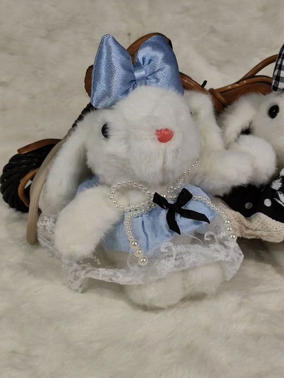 عروسک پولیشی نرم و وارداتی طرح خرگوش لباسدار برای هدیه تولد و ولنتاین و..